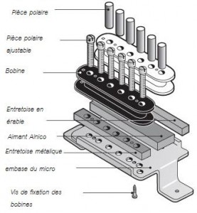 humbucker schemat